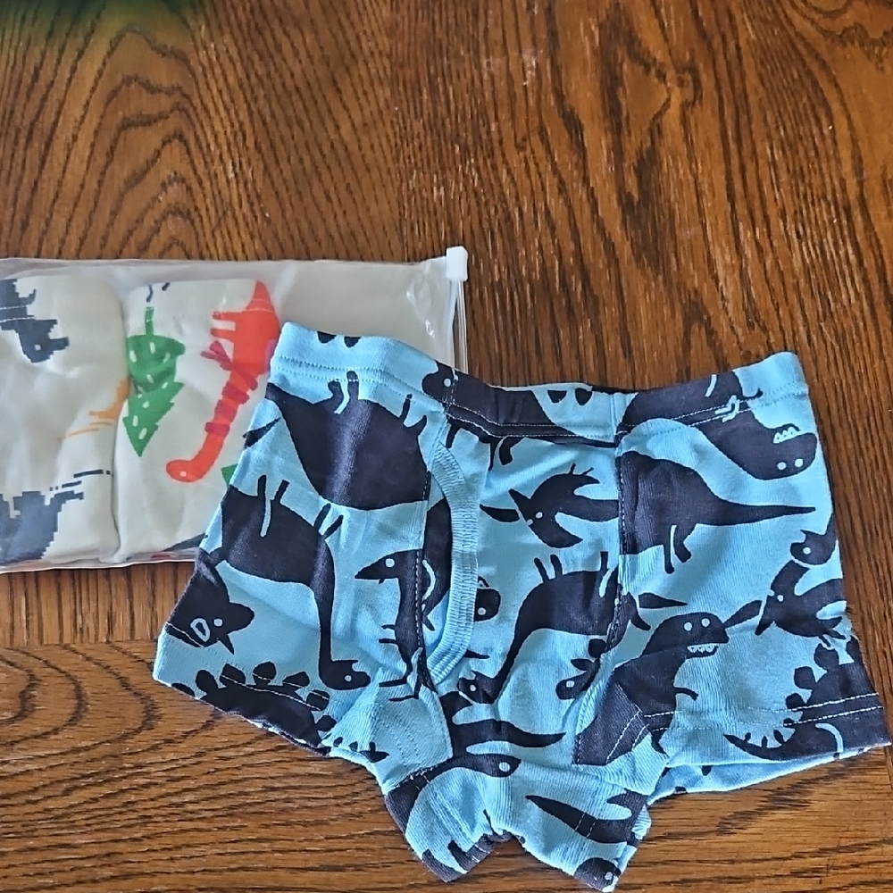 Kids Dinosaur Print Boxer Briefs - Blue